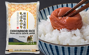 CHICAGO – Mitsuwa Marketplace | A Japanese Grocery Store | Open
