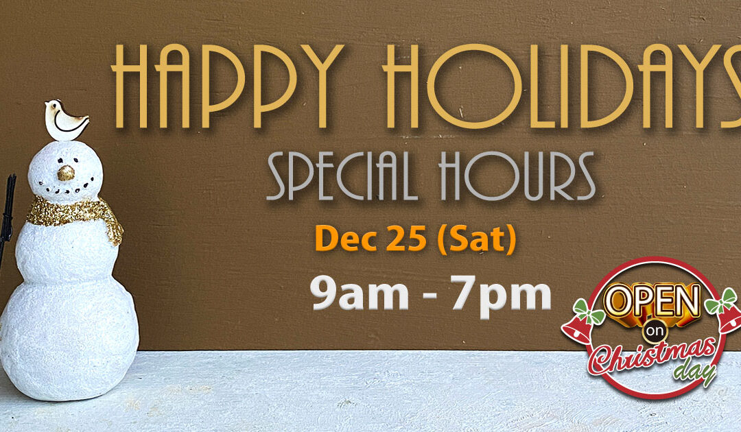 Holiday season store hours