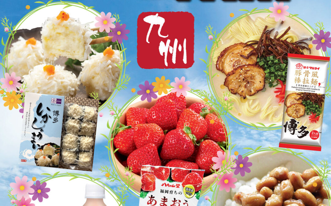 KYUSHU FAIR LAN