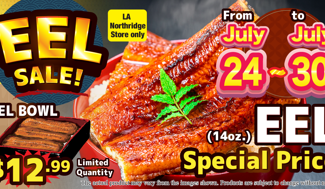 LAN Eel Sale
