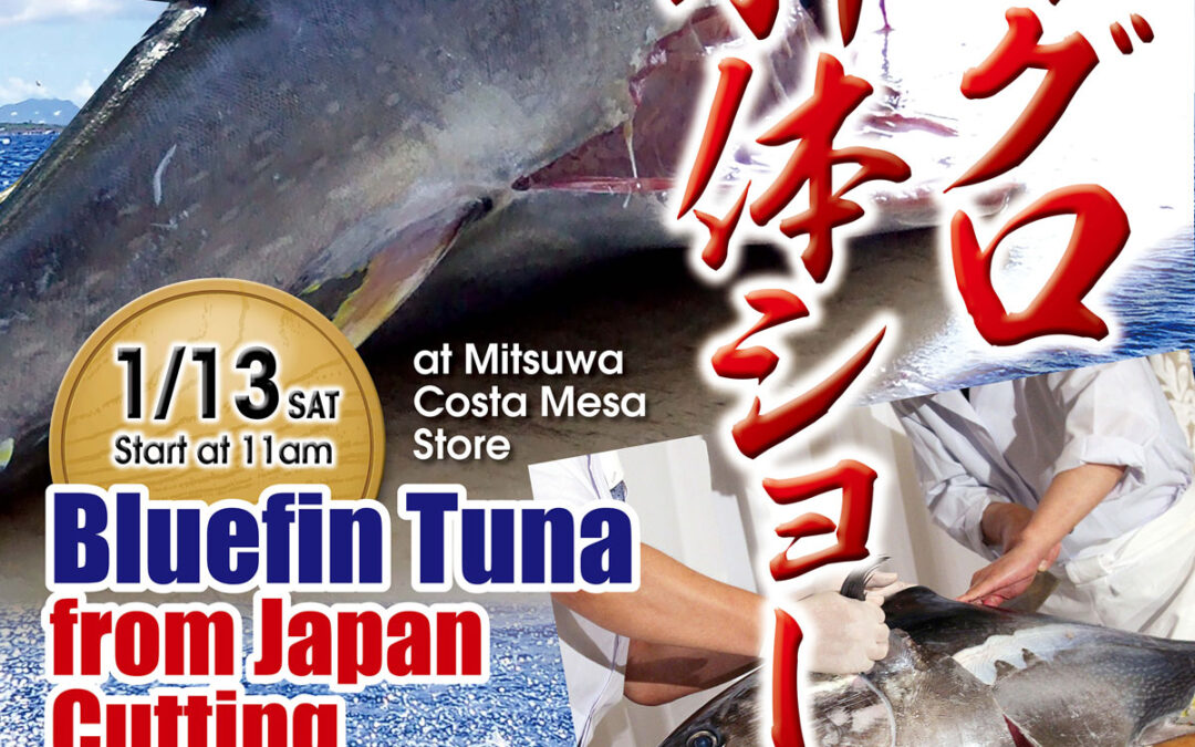 Bluefin Tuna from Japan Cutting Demonstration